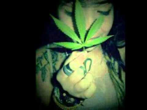 Melo de looma 2015 🎶