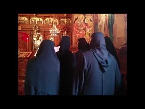 20180218 NICOLAE BALASOIU – DUMINICA IZGONIRII LUI ADAM DIN RAI