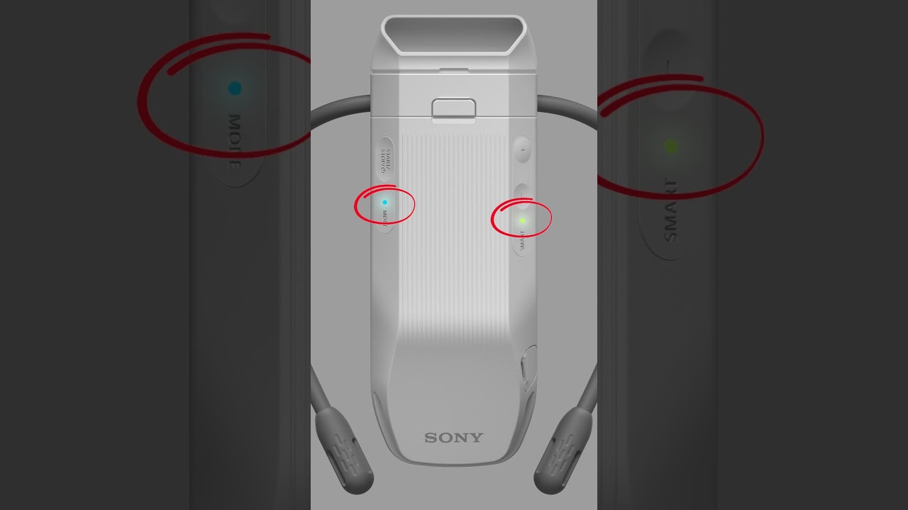 Support for RNPK-P1T | Sony AP