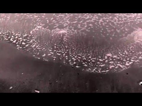 Love+War - Lost (Cover)