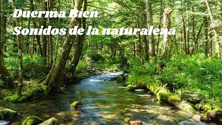 Duerma bien: reljese y calme la mente. Sonidos de la naturaleza