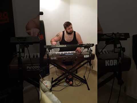 Edvin Nikolic (Mica Nikolic) - Nekada smo ti i ja (instrumental)