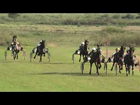 Omoljica-19.08.2023, I am Best & M. Tasić