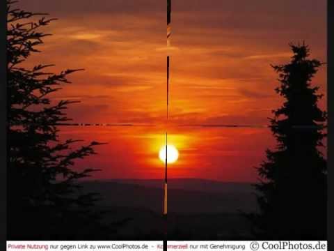 Zamjo--♥Solange ich Liebe♥