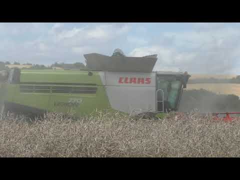 Giganten im Einsatz   Rapsernte XXXL Monster Mähdrescher Giganten im Doppel Pack Claas Lexion 770 Te