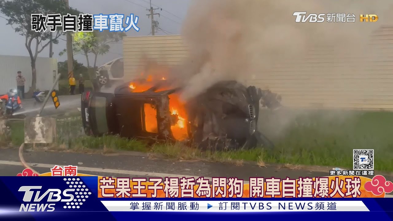及時逃出! 台語歌手為閃狗、車自撞起火