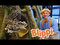 Playing At The Zoo With Blippi Blippi Feeds Animals Animal Videos For Kids Blippi Toys