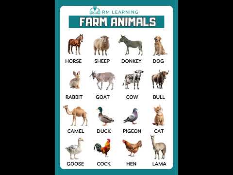 Farm Animals Name English Vocabulary #farmanimals #shortsfeed #rmlearning