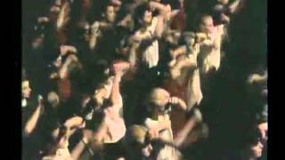 Robert Plant  - Tall Cool One