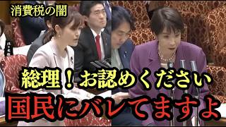 【国会激震】参政党・塩入さやかが高市総理に迫る！「消費税は社会保障の財源」は！？国民にばれてますよ！？#高市総理 #消費税 #消費税をやめてくれ #参政党