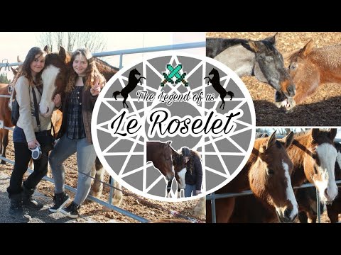 Le Roselet - Stiftung für das Pferd🐴|| The Legend of us