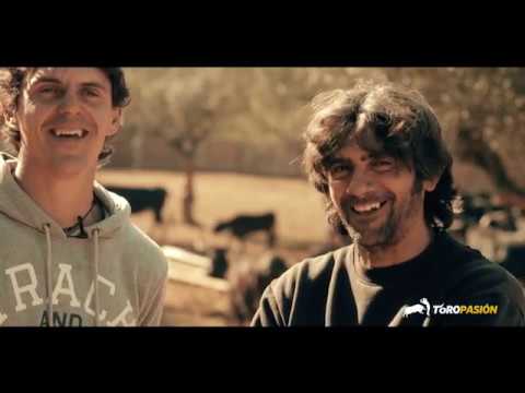 Chula de Hnos. Cali en La Vaca del Millón - Fallas 2019