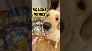this tin did NOT disappoint #pokemon #pokemonopening