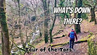 This Dartmoor Hike Took Me Somewhere I Didn't Expect