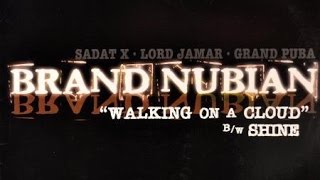 Hip-Hop Vinyl Reviews: Brand Nubian - Walking on a Cloud (Episode 15)