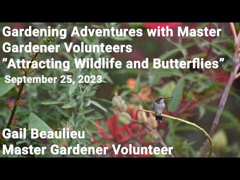 Master Gardener Talk - "Attracting Wildlife and Butterflies"