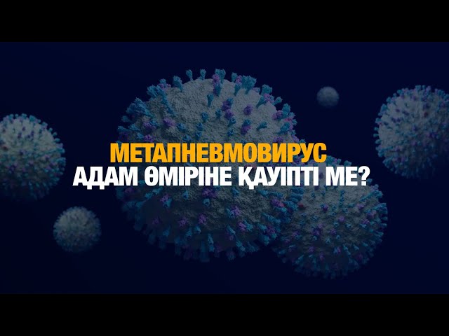 Метапневмовирус адам өміріне қаншалықты қауіпті?