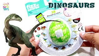 Fizz 'N' Surprise Egg Dinosaurs: Drop it into water and watch it magically begin to Fizz!