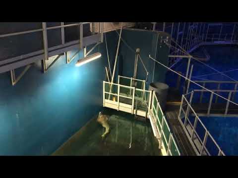 Burgers Ocean achter de schermen