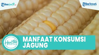 Bagus untuk Menjaga Kesehatan Jantung, Inilah  Manfaat Konsumsi Jagung untuk Tubuh agar Tetap Sehat