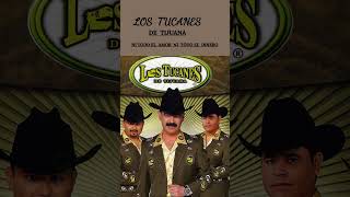 los  tucanes    Ni Todo El Amor, Ni Todo El Dinero #musica