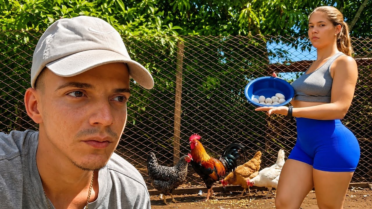 SOBREVIVO CRIANDO GALLINAS EN CUBA 🇨🇺