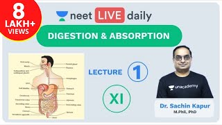 Digestion & Absorption - Lecture 1 | Unacademy NEET | LIVE DAILY | NEET Biology | Dr Sachin Kapur