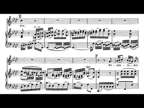 Zerfließe, mein Herze (St. John Passion - J.S. Bach) Score Animation