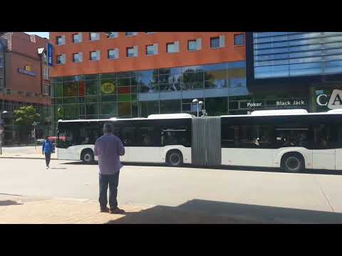 Busse am Flensburger ZOB