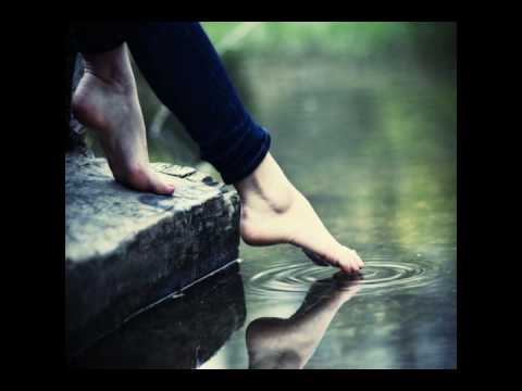 Infuzoria - Silhouettes