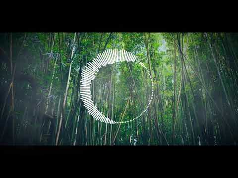 Bamboo (Flute Trap Beat)