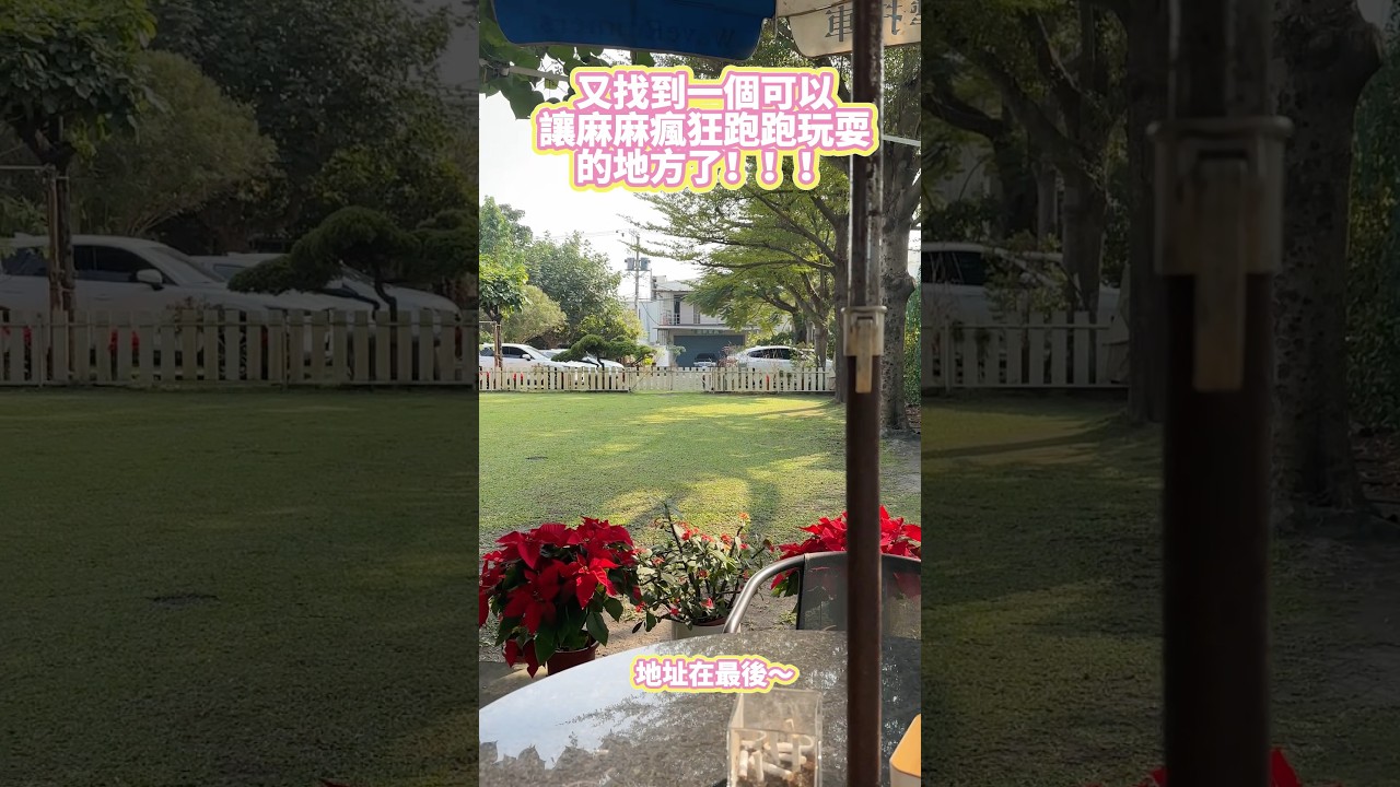 又找到一個可以讓狗狗自由奔跑的地方了！高雄的狗狗們！又可以享福了！#台灣 #高雄 #台灣寵物移民 #高雄寵物友善#cafe #寵物友善日常 #寵物友善 #寵物狗狗精選 #寵物友善餐廳