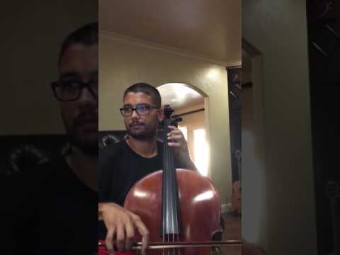 Lean On- Major Lazer (Cello Remix)
