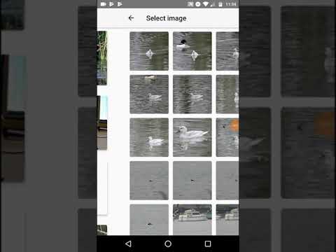Photo Compare