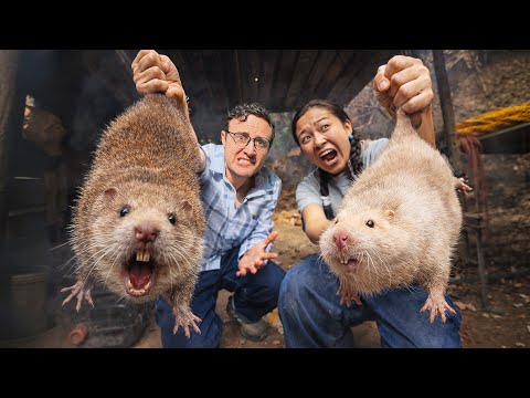 China’s Giant BANNED Rats Are Making a Comeback (Here’s how)