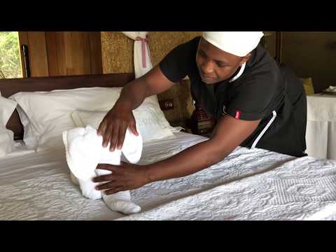 How to make an Elephant Shaped Towel.