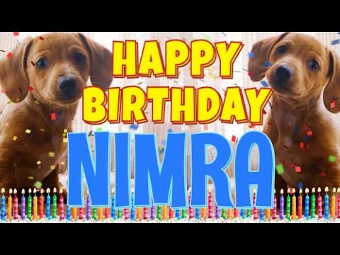 Happy Birthday Nimra! ( Funny Talking Dogs ) What Is Free On My Birthday