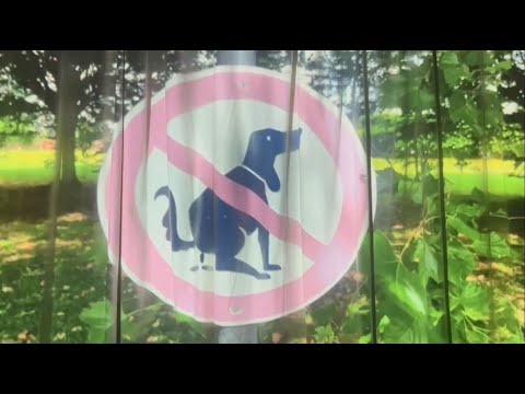 St. Elan - Für die Hunde (offizielles Musikvideo)