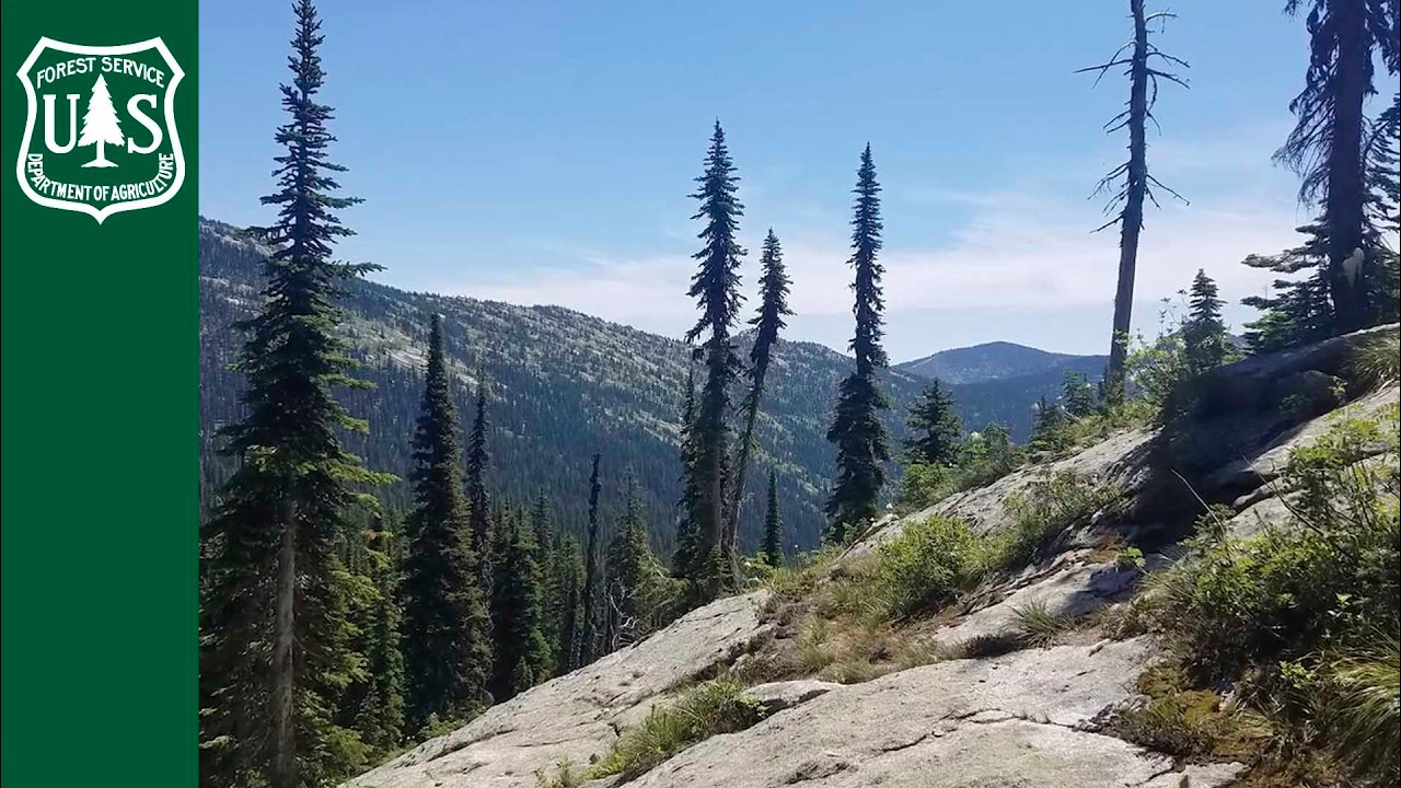 Deception Creek Experimental Forest: A Legacy of Research