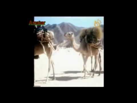 Djanet 1961 32min   YouTube