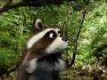 Blaster TV Commercial Racoon 2007