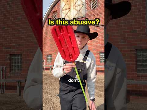 Is this cattle paddle really bad?