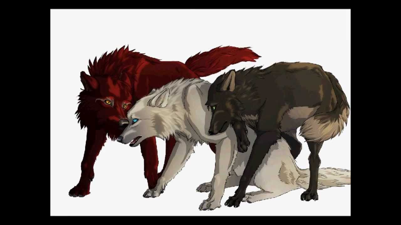 Agony - Wolf Speedpaint