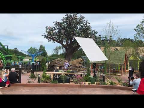 Wildwood Grove is Now Open & We LOVE it! Wildwood Grove is Now Open & We LOVE it!