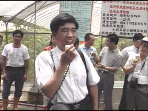 臺中區農業改良場-蜜蜂在瓜皮上授粉的效果 台語