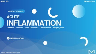 Acute inflammation | General pathology