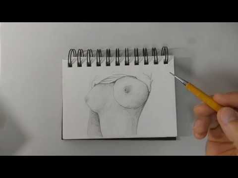 1. How to draw breast 1x