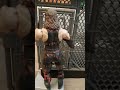 Wwe Wrestling Kane And Undertaker Wwe Wrestling Figures