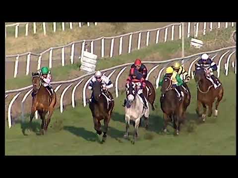 Napoli Galoppo 05/03/2022 - 6ª corsa