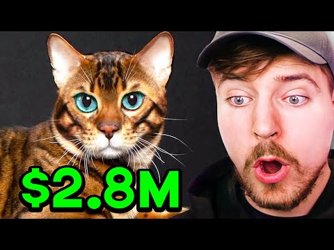 10 Unusual Pets You Won't Believe People Have